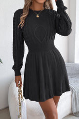 Solid Round Neck Chunk Cable Waisted Knit Mini Dress