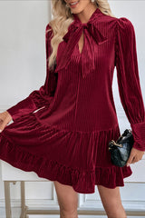 Velvet Vintage Bow Collar Flowy Short Mini Dress