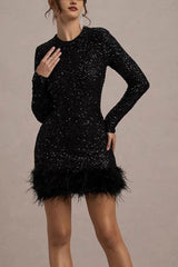 Chic Long Sleeve Crew Neck Solid Sequin Feather Sequin Dress